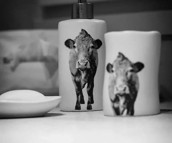 Flocon De Nell Lejlighed Megève